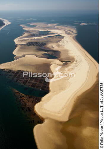 Banc d'Arguin - © Philip Plisson / Plisson La Trinité / AA27575 - Nos reportages photos - Grande marée
