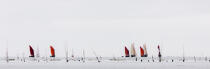 Living La Trinité sur mer © Philip Plisson / Plisson La Trinité / AA27597 - Photo Galleries - Sinagot, traditional "Golfe du Morbihan" boat