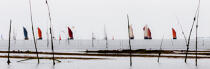 Living La Trinité sur mer © Philip Plisson / Plisson La Trinité / AA27598 - Photo Galleries - Sinagot, traditional "Golfe du Morbihan" boat