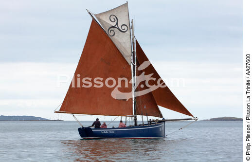 In the Bay - © Philip Plisson / Plisson La Trinité / AA27600 - Photo Galleries - Sailing Pilot boat