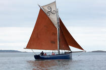 In the Bay © Philip Plisson / Plisson La Trinité / AA27600 - Photo Galleries - Sailing Pilot boat