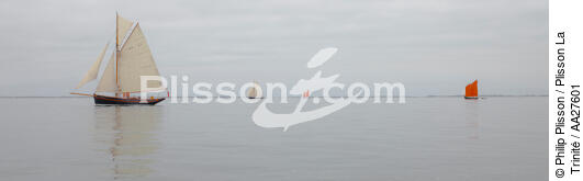In the Bay - © Philip Plisson / Plisson La Trinité / AA27601 - Photo Galleries - Sailing Pilot boat
