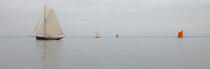 In the Bay © Philip Plisson / Plisson La Trinité / AA27601 - Photo Galleries - Sailing Pilot boat