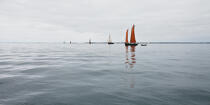 In the Bay © Philip Plisson / Plisson La Trinité / AA27604 - Photo Galleries - Sinagot, traditional "Golfe du Morbihan" boat