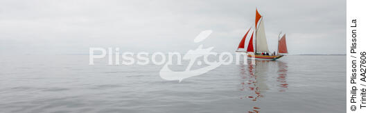 In the Bay - © Philip Plisson / Plisson La Trinité / AA27606 - Photo Galleries - Quiberon bay [The]