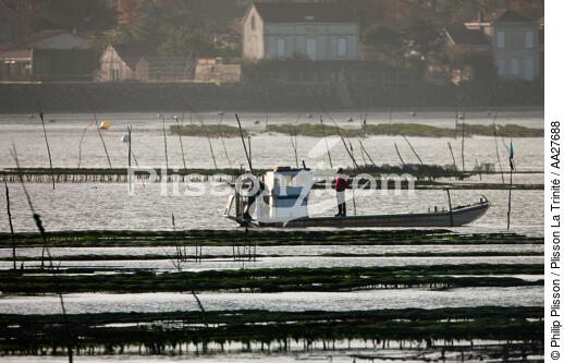 Oyster farming in Charente Maritime [AT] - © Philip Plisson / Plisson La Trinité / AA27688 - Photo Galleries - From Ré island to La Coubre Point