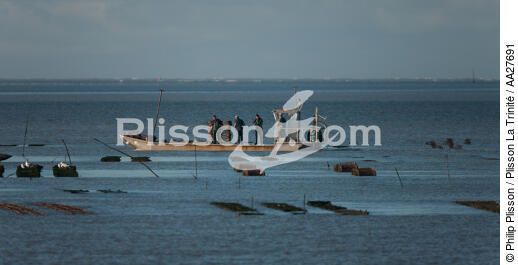 Oyster farming in Charente Maritime [AT] - © Philip Plisson / Plisson La Trinité / AA27691 - Photo Galleries - Oyster bed