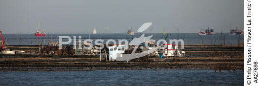 Oyster farming in Charente Maritime [AT] - © Philip Plisson / Plisson La Trinité / AA27698 - Photo Galleries - Oyster bed
