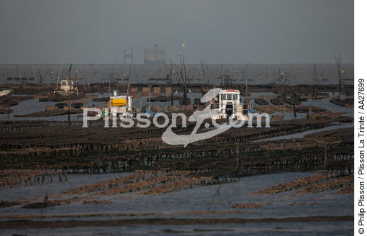 Oyster farming in Charente Maritime [AT] - © Philip Plisson / Plisson La Trinité / AA27699 - Photo Galleries - Oyster bed