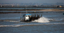 Oyster farming in Charente Maritime [AT] © Philip Plisson / Plisson La Trinité / AA27702 - Photo Galleries - Oyster bed