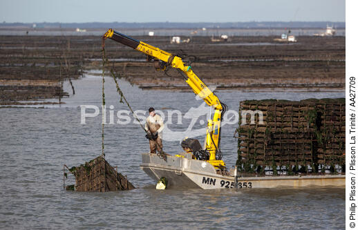 Oyster farming in Charente Maritime [AT] - © Philip Plisson / Plisson La Trinité / AA27709 - Photo Galleries - Lighter used by oyster farmers