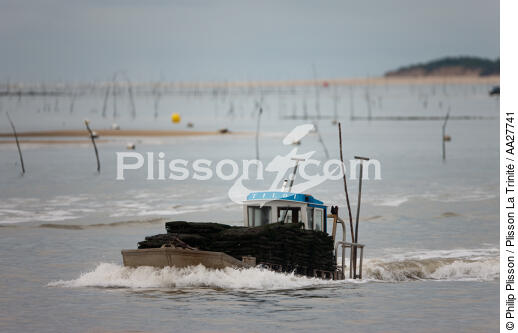 Oyster farming ,la Seudre river entrance. - © Philip Plisson / Plisson La Trinité / AA27741 - Photo Galleries - Shellfish farming