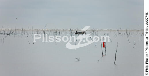 Sur les parcs a la sortie de la Seudre - © Philip Plisson / Plisson La Trinité / AA27746 - Nos reportages photos - Aquaculture
