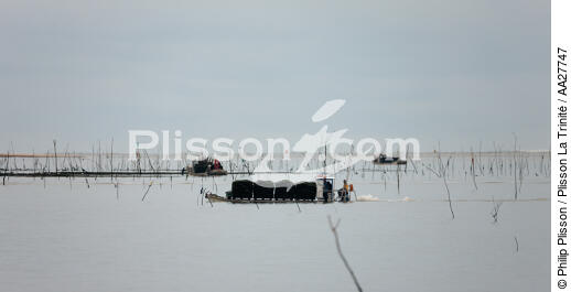 Oyster farming ,la Seudre river entrance. - © Philip Plisson / Plisson La Trinité / AA27747 - Photo Galleries - River [17]