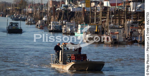 Port de La Tremblade - © Philip Plisson / Plisson La Trinité / AA27753 - Nos reportages photos - La Seudre