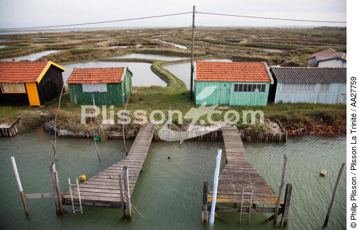 Port de La Tremblade - © Philip Plisson / Plisson La Trinité / AA27759 - Nos reportages photos - Cabane