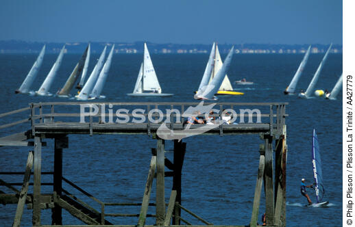 Le bois de la chaise regattas - © Philip Plisson / Plisson La Trinité / AA27779 - Photo Galleries - Island [85]
