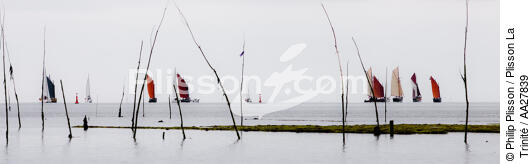 At the end of the channel of the Trinity [AT] - © Philip Plisson / Plisson La Trinité / AA27839 - Photo Galleries - Sinagot, traditional "Golfe du Morbihan" boat