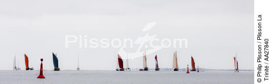At the end of the channel of the Trinity [AT] - © Philip Plisson / Plisson La Trinité / AA27840 - Photo Galleries - Sinagot, traditional "Golfe du Morbihan" boat