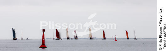 At the end of the channel of the Trinity [AT] - © Philip Plisson / Plisson La Trinité / AA27841 - Photo Galleries - Sinagot, traditional "Golfe du Morbihan" boat