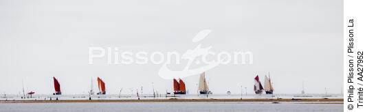At the end of the channel of the Trinity [AT] - © Philip Plisson / Plisson La Trinité / AA27952 - Photo Galleries - Sinagot, traditional "Golfe du Morbihan" boat