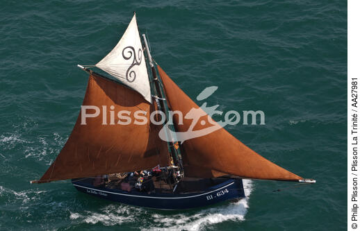 La Semaine du Golfe 2011. - © Philip Plisson / Plisson La Trinité / AA27981 - Photo Galleries - Sardine fishing boat