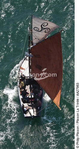 La Semaine du Golfe 2011. - © Philip Plisson / Plisson La Trinité / AA27983 - Photo Galleries - Sloop sardine fishing boat