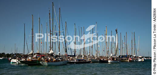 La Semaine du Golfe 2011. - © Philip Plisson / Plisson La Trinité / AA28064 - Nos reportages photos - Morbihan [Golfe du]