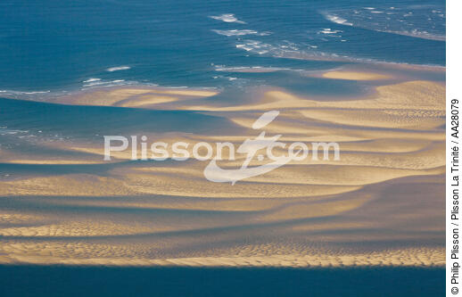 Arguin Sand Bank - © Philip Plisson / Plisson La Trinité / AA28079 - Photo Galleries - Arguin Sand Bank [The]