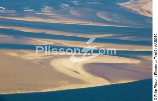 Arguin Sand Bank - © Philip Plisson / Plisson La Trinité / AA28080 - Photo Galleries - Sand