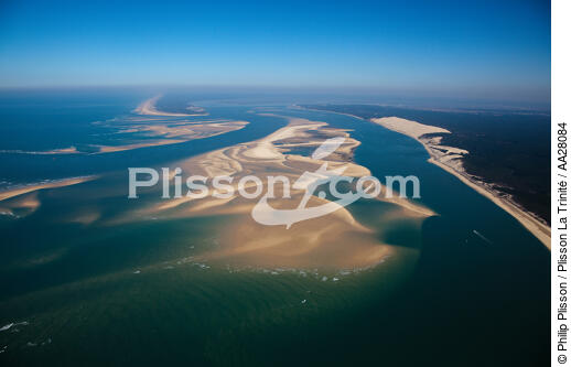 Arguin Sand Bank - © Philip Plisson / Plisson La Trinité / AA28084 - Photo Galleries - Low tide