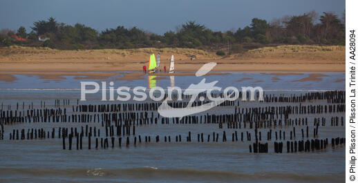 La Faute sur mer - © Philip Plisson / Plisson La Trinité / AA28094 - Nos reportages photos - Conchyliculture