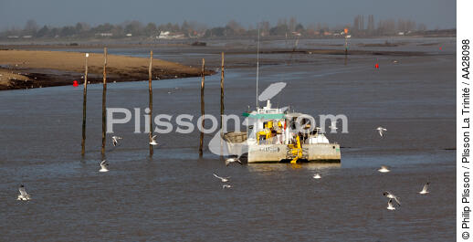 La Faute sur mer - © Philip Plisson / Plisson La Trinité / AA28098 - Nos reportages photos - Pays de Loire