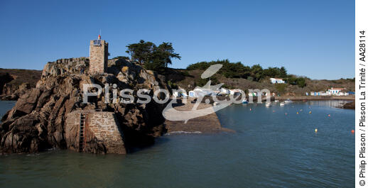 Ile d'Yeu - © Philip Plisson / Plisson La Trinité / AA28114 - Nos reportages photos - De Noirmoutier à l'anse de l'Aiguillon