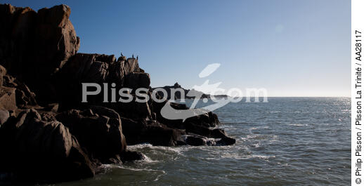 Yeu island - © Philip Plisson / Plisson La Trinité / AA28117 - Photo Galleries - Pays de Loire