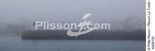 Yeu island - © Philip Plisson / Plisson La Trinité / AA28130 - Photo Galleries - Mist