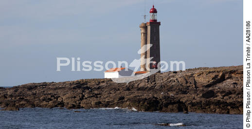 Ile du Pilier - © Philip Plisson / Plisson La Trinité / AA28186 - Nos reportages photos - Pilier [ile du]