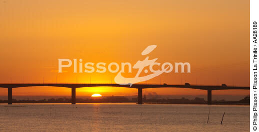 La Seudre estuary - © Philip Plisson / Plisson La Trinité / AA28189 - Photo Galleries - Bridge