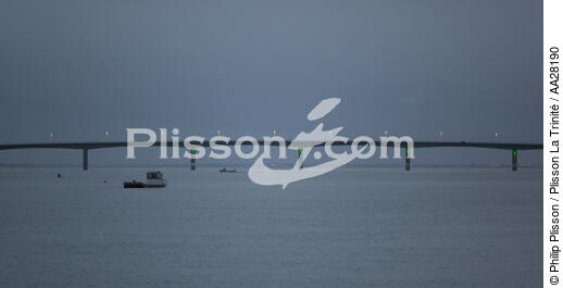 La Seudre estuary - © Philip Plisson / Plisson La Trinité / AA28190 - Photo Galleries - La Seudre
