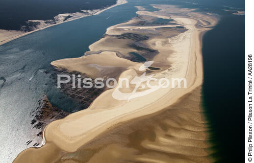 Arguin Sand Bank - © Philip Plisson / Plisson La Trinité / AA28198 - Photo Galleries - Aquaculture