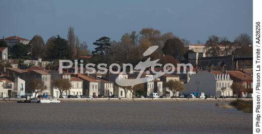 Tonnay-Charente - © Philip Plisson / Plisson La Trinité / AA28256 - Photo Galleries - From Ré island to La Coubre Point