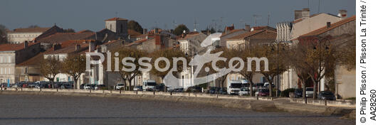 Tonnay-Charente - © Philip Plisson / Plisson La Trinité / AA28260 - Nos reportages photos - Tonnay-Charente