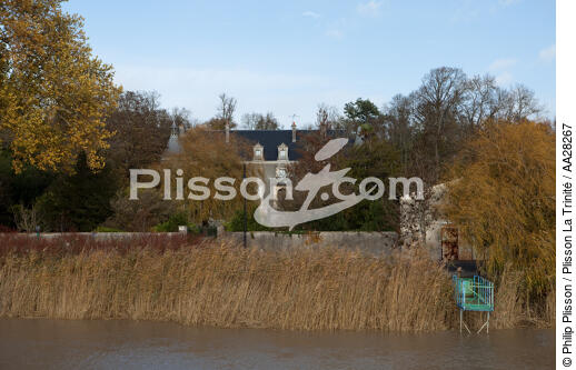 Tonnay-Charente - © Philip Plisson / Plisson La Trinité / AA28267 - Photo Galleries - River