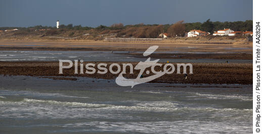 La-Tranche-sur-mer - © Philip Plisson / Plisson La Trinité / AA28294 - Nos reportages photos - Pêche à pied