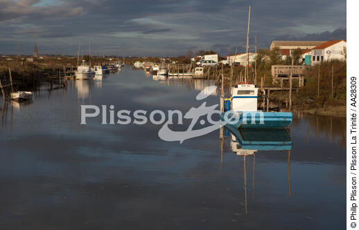 Le Chenal de Marennes - © Philip Plisson / Plisson La Trinité / AA28309 - Nos reportages photos - Aquaculture