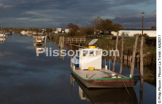 Le Chenal de Marennes - © Philip Plisson / Plisson La Trinité / AA28311 - Nos reportages photos - Aquaculture