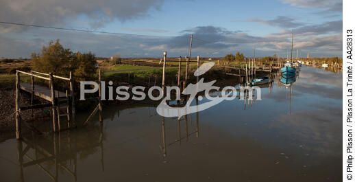 Le Chenal de Marennes - © Philip Plisson / Plisson La Trinité / AA28313 - Nos reportages photos - Aquaculture