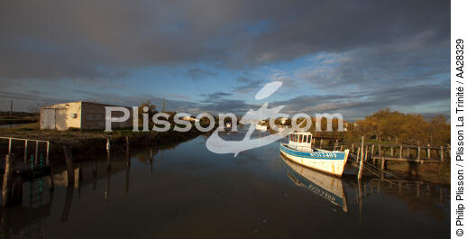 Le Chenal de Marennes - © Philip Plisson / Plisson La Trinité / AA28329 - Nos reportages photos - Aquaculture