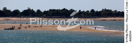 Le Banc de sable du Bûcheron - © Philip Plisson / Plisson La Trinité / AA28344 - Nos reportages photos - Ile [17]