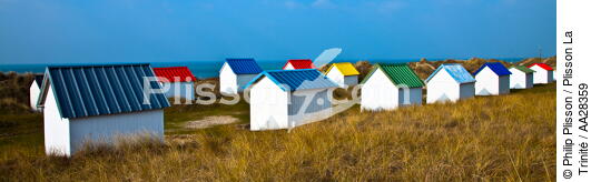 Cabanes de Gouville-sur-mer - © Philip Plisson / Plisson La Trinité / AA28359 - Nos reportages photos - Dune